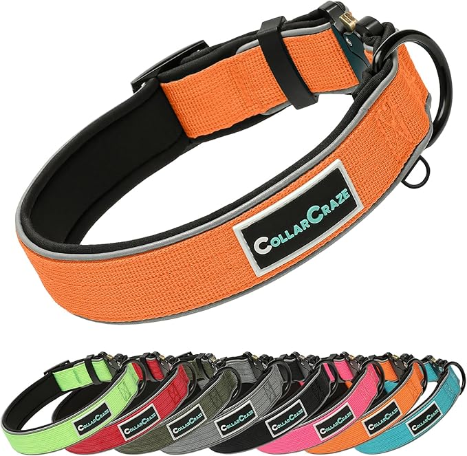 Dog Collar for Small Medium Large Dogs, Reflective, Adjustable Heavy Duty Dog Collar, Soft Neoprene Padded Comfortable for Walking (Orange, XL)