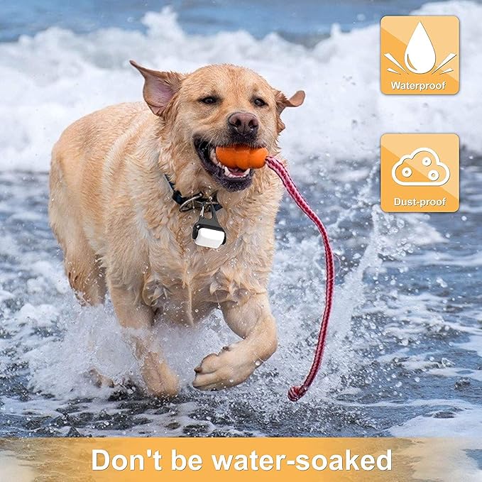 USB Rechargeable Clip-on Dog Collar Light - 3 Modes, IP65 Waterproof, Night Walking, Running, Camping, Climbing, Bike - 3 Pack