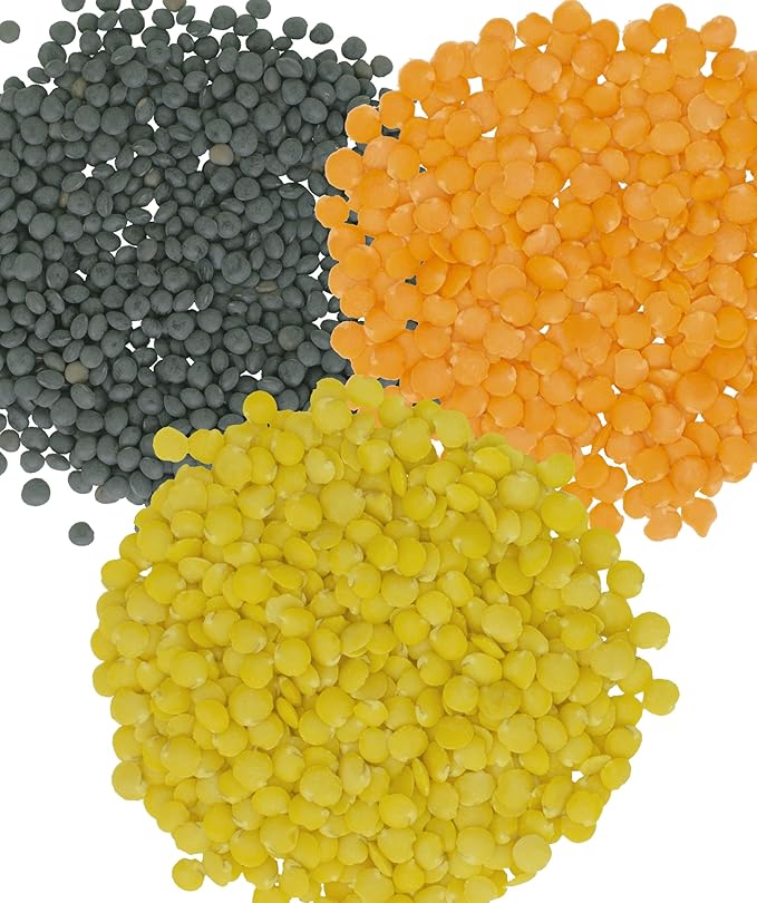 Black, Red and Yellow Lentils | 12 LBS (3-4 lb bags) | Non-GMO | 100% Non Irradiated | Kosher | USA Grown | Vegan