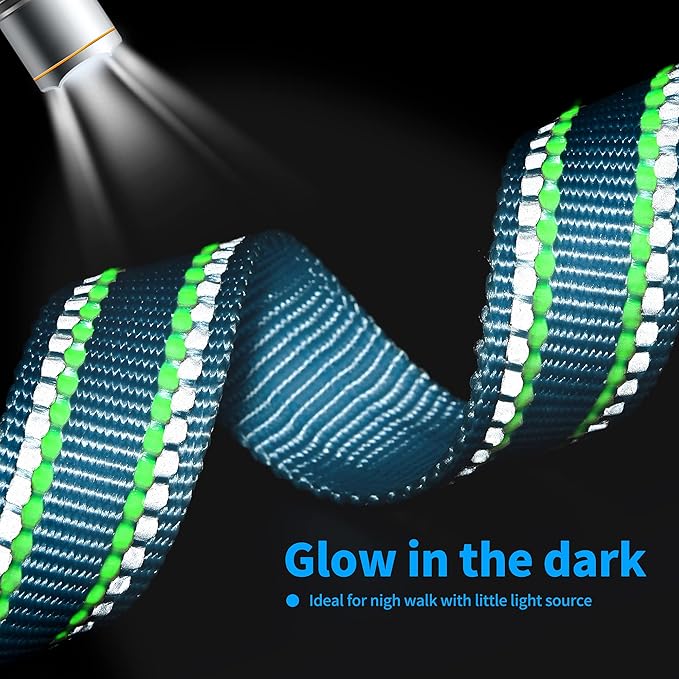 Mile High Life Reflective Dog Collar, Basic Dog Collars Adjustable Quick Release, Soft Nylon Pet Collar with Metal D-Ring for Small Medium Large Dogs (Blue, L Neck15-19")