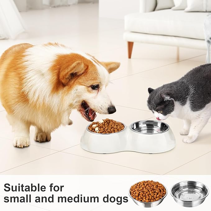 Stainless Steel Dog Bowls Set – Dual Non-Slip Pet Dishes with 2 Small (4oz*2) Bowls & Durable Resin Stand,Food & Water Feeder for Puppies and Kittens– White