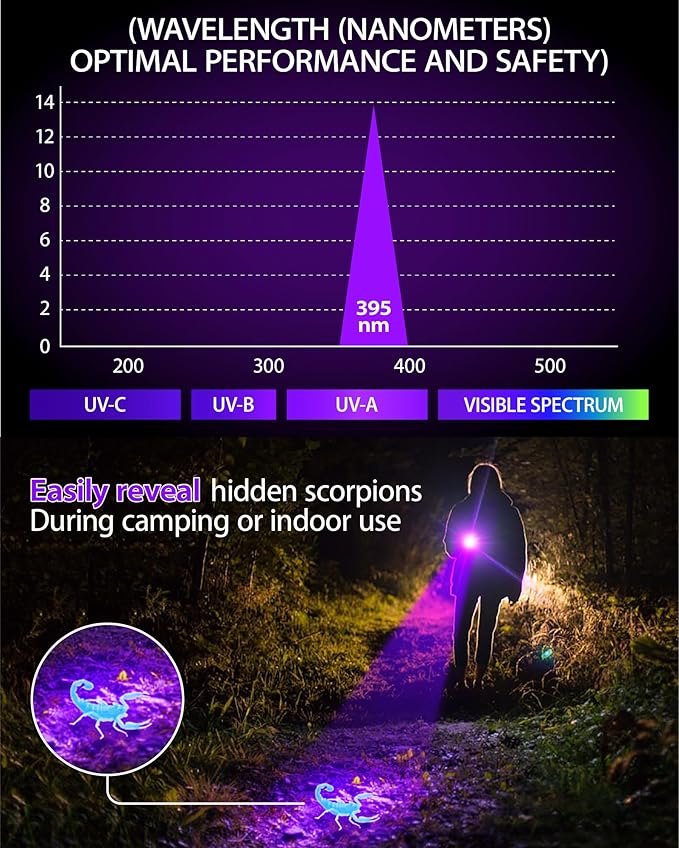 Black Light Flashlight 395NM, UV Light USB C Rechargeable with LCD Display, Zoomable Woods Lamp 2N1, Blacklight for Pet Urine Detection, Resin Curing, Rocks, Travel, Minerals, Scorpion, Glass, Leak