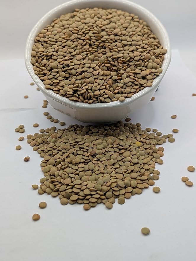 High Plains Richlea Lentils | 10 Pound Bag | Farm-Fresh | Non-GMO Verified | High Protein & Fiber Source | Dry Beans | Directly Sourced from Local Farmers