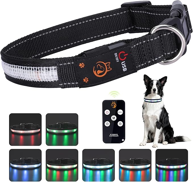 Light Up Dog Collar,Rechargeable Waterproof Led Dog Collar with Remote,Glow in Dark for Night Walking, Fits Small Medium Large Dogs-L