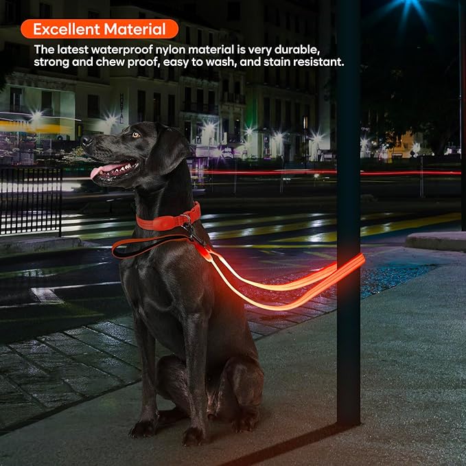 LED Dog Leash, Light Up Dog Leash 4 Ft USB Rechargeable Waterproof, Nylon Reflective Leashes with Padded Handle for Dogs Night Walking Light, Safety Glow in The Dark for Large Medium Pets (Orange)