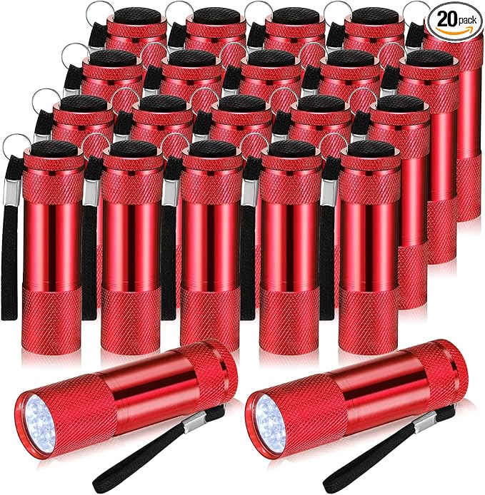 VIHOSE 20 Pcs Mini Flashlights Bulk, Bright Aluminum Handheld Flash Light with Lanyard Small LED Flashlights for Night Reading Emergency Hurricane Camping Hiking, Batteries Not Included(Red)