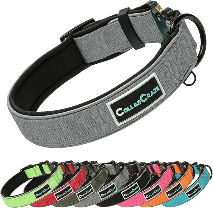 Dog Collar for Small Medium Large Dogs, Reflective, Adjustable Heavy Duty Dog Collar, Soft Neoprene Padded Comfortable for Walking (Grey, XL)