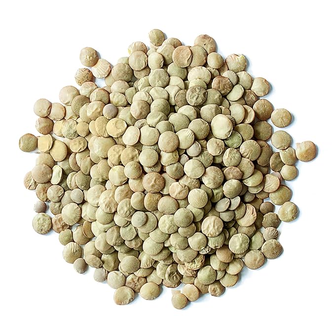Food to Live Organic Whole Green Lentils, 15 Pounds ??Non-GMO, Dried Raw Beans, Sproutable, Vegan, Kosher, High in Folate, Dietary Fiber, Protein, No Soaking Required, for Soups, and Veggie Burgers