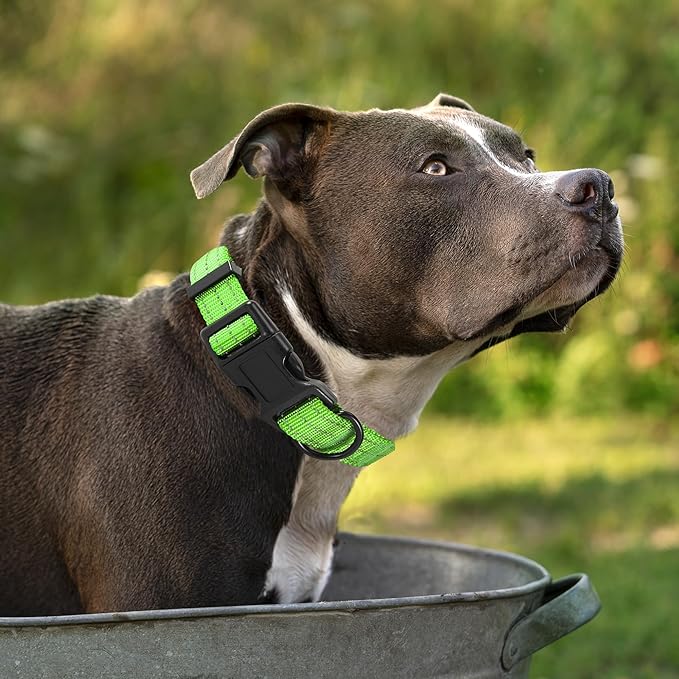 Mile High Life Dog Collar | Nylon Reflective Dog Collars | Light Weight Puppy Collars | Lime Green Dog Collars for Small Dogs (Solid Lime Green, X-Small)