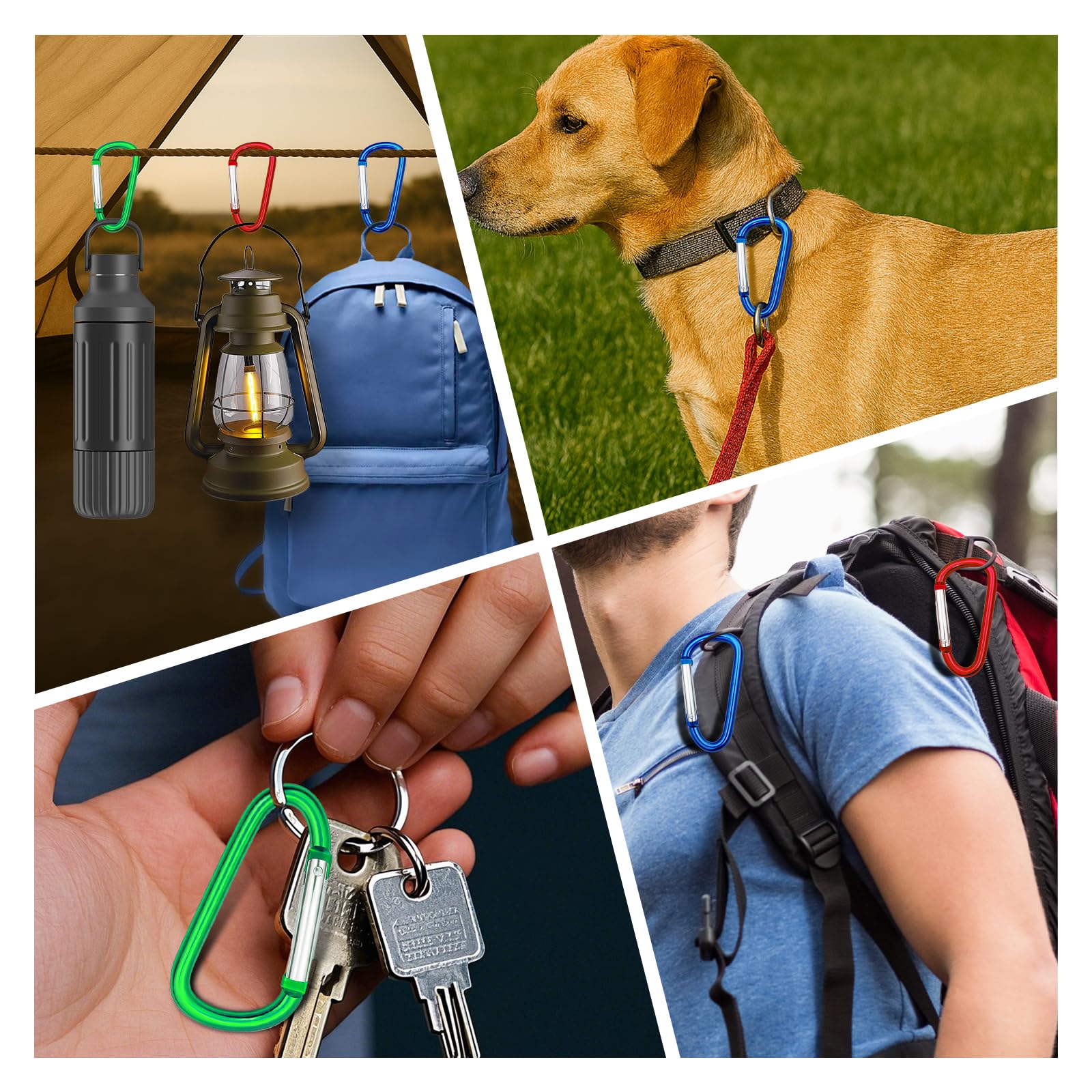 Carabiner Clip Multi Size Pack, Aluminum Carabiner Includes Small 2 Inch Carbineers, Medium 2.3" D