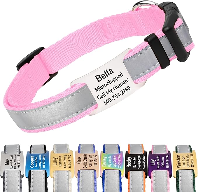 GoTags Reflective Personalized Dog Collar with Nameplate, Adjustable Dog Collar with Custom Engraved Steel Slide On Pet ID Tag, Silent, No Noise Dog Tag for Large Medium or Small (Pink, Small)