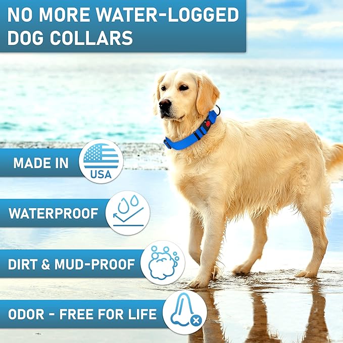 Adjustable Dog Collar with QR Code Dog Tag ID Attached - Made in USA - Honeycomb Waterproof Heavy Duty Dog Collar with Safe Lock Buckle - Odor Proof Pet Collar for Dogs with Strong Zinc D Ring