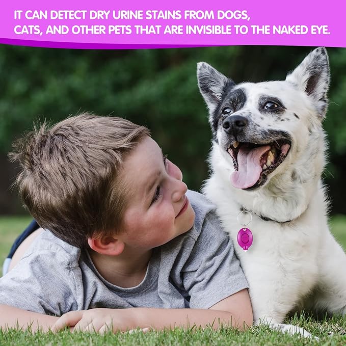 50 Pcs Mini UV LED Keychain Flashlight 395nm UV Light Black Light Keychain Flashlight Portable UV Keychain Flashlight for PET Urine Passport ID Card and Currency, UV Light Key Ring Light Torch