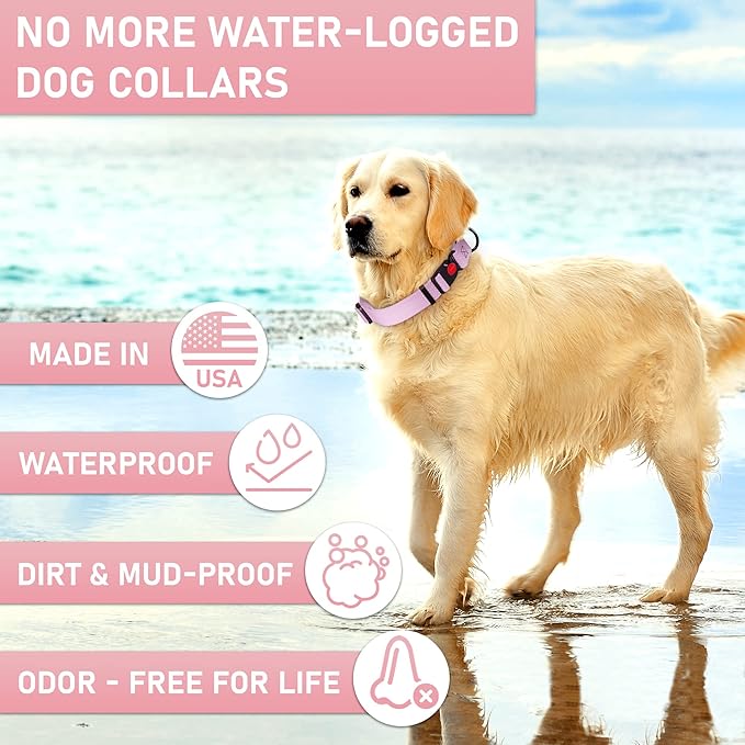 Adjustable Dog Collar with QR Code Dog Tag ID Attached - Made in USA - Honeycomb Waterproof Heavy Duty Dog Collar with Safe Lock Buckle - Odor Proof Pet Collar for Dogs with Strong Zinc D Ring
