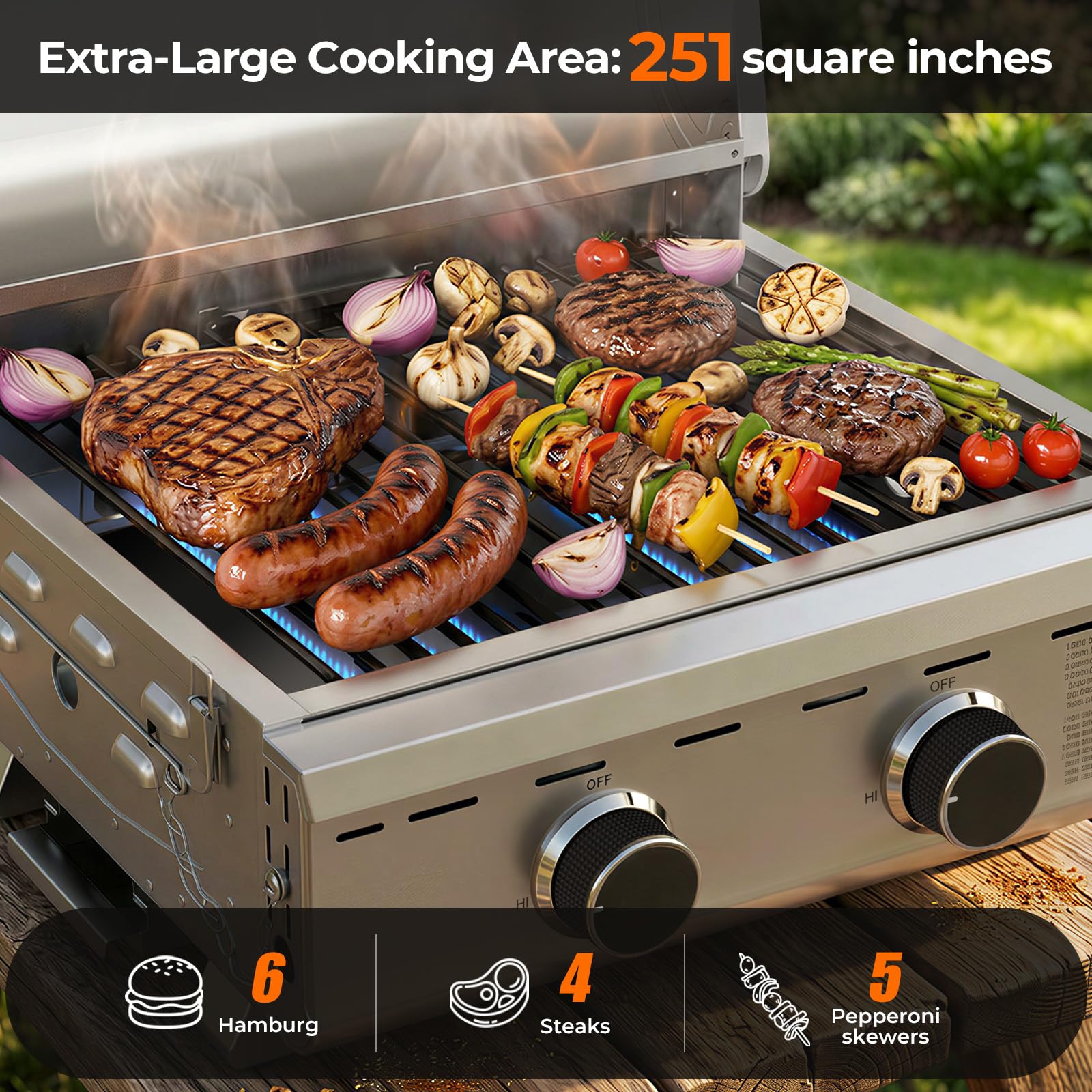 Electactic 20000 BTUs Portable Tabletop Gas Grill, 2 Burners Propane BBQ
