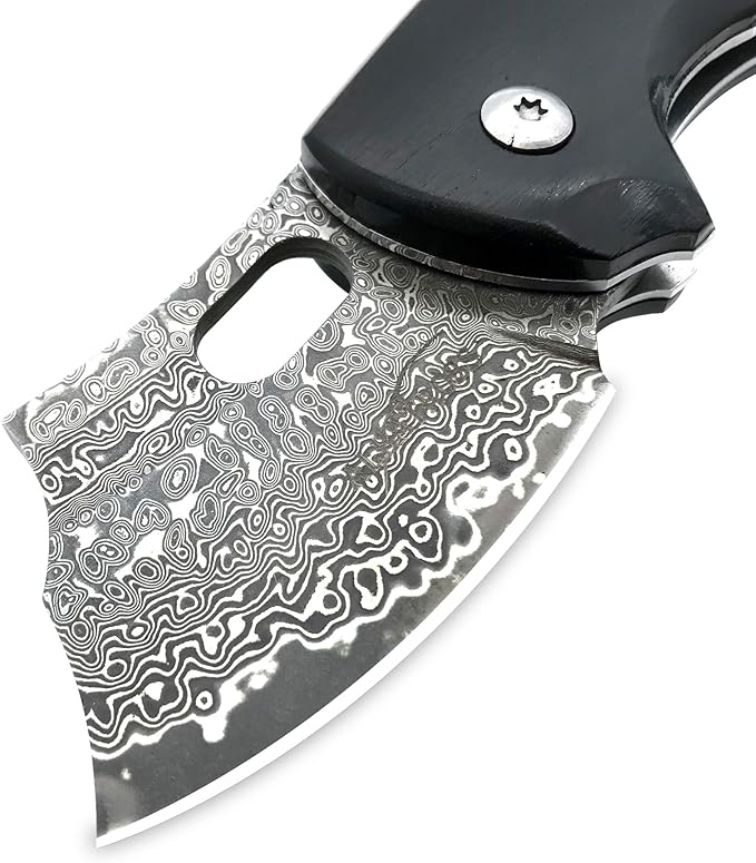 ALBATROSS Premium Folding Pocket Knife - EDC Mini VG10 Damascus Steel with 2" Blade - Ebony Wood Handle - Compact Outdoor Camping Knife with Gift Box - HGDK024