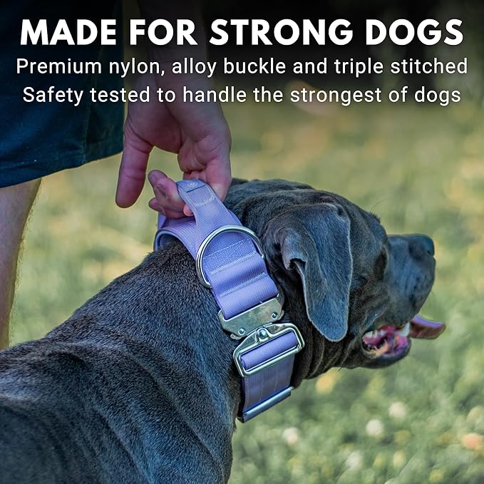 Spark Paws Tactical Dog Collar - Heavy Duty, Premium Quality, Thick and Durable for Large and Medium Dogs - Purple - L