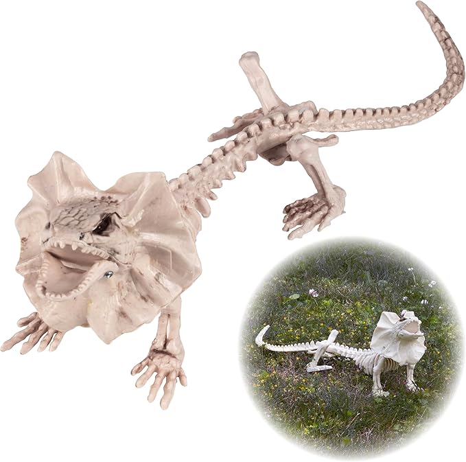 17" Frilled Lizard Skeleton Halloween Decoration- Weather Resistant for Indoor/Outdoor Spooky Decor- Perfect for Tabletop Party Decor, Haunted Houses, Graveyards- Agama Bones- Creepy Dragon Prop