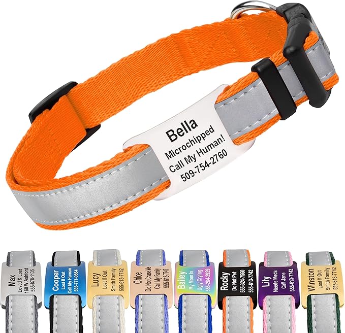 GoTags Reflective Personalized Dog Collar with Nameplate, Adjustable Dog Collar with Custom Engraved Steel Slide On Pet ID Tag, Silent, No Noise Dog Tag for Large Medium or Small (Orange, Medium)