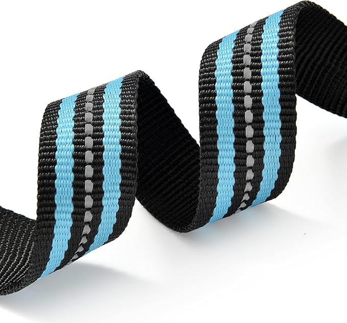 Mile High Life Reflective Dog Collar | Nylon Pet Collars wiith Buckle | Light Weight Puppy Collars | Light Blue Dog Collars for Medium Dogs (Light Blue, M)