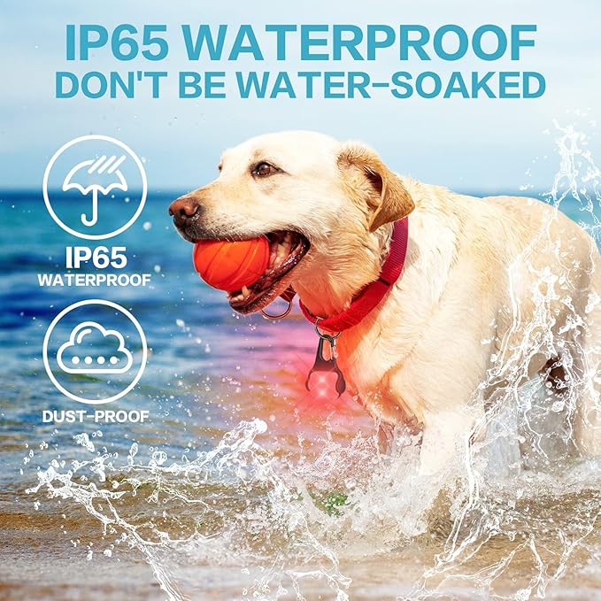 Rechargeable Dog Collar Light -3 Modes Dog Light, IP65 Waterproof Dog Walking Light, 50LM Dog Lights for Night Walking, Running, Camping, Climbing, Bike, 2 Pack