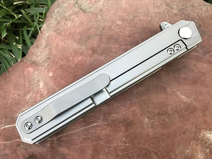 TACTICAL GEARZ Damascus Pocket Knife for EDC, Solid Titanium Handle, 67 Multi-Layered Damascus Steel VG10 Tanto Blade, Includes Sheath (Onyx XT Platinum)