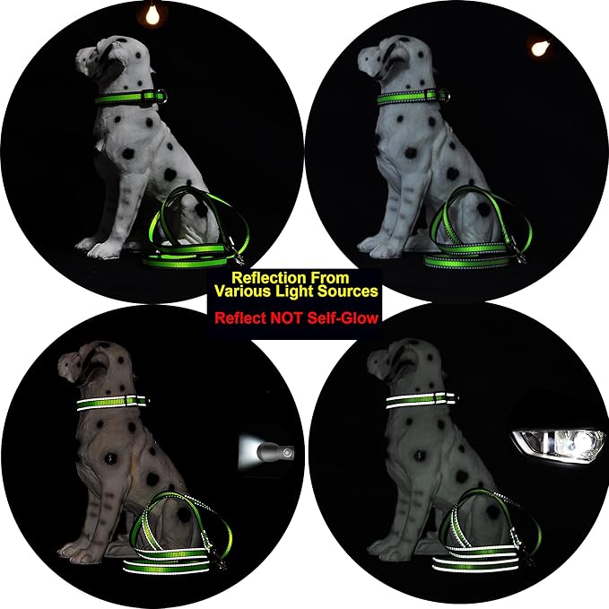 Mile High Life Dog Collar | Nylon Reflective Dog Collars | Light Weight Puppy Collars | Blue Dog Collars for Medium Dogs (Blue, Medium)