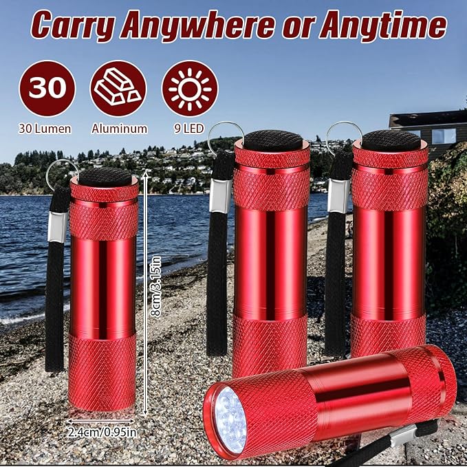 VIHOSE 12 Pcs Mini Flashlights Bulk, Bright Aluminum Handheld Flash Lights with Lanyard, Small LED Flashlights for Kids Night Reading Emergency Hurricane Camping Hiking Party Favors(Red)