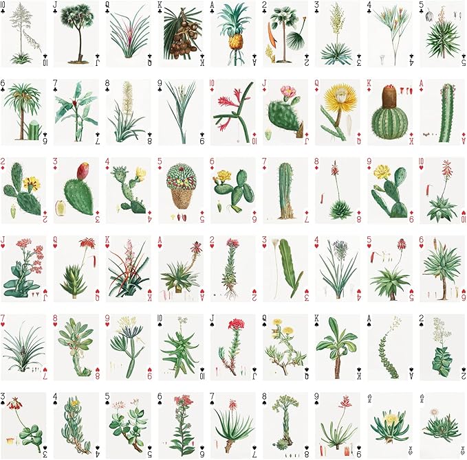 Cactus and Succulents Playing Cards (Poker Deck 54 Cards All Different) Vintage Antique Botannical Books Illustration by Pierre Redoute