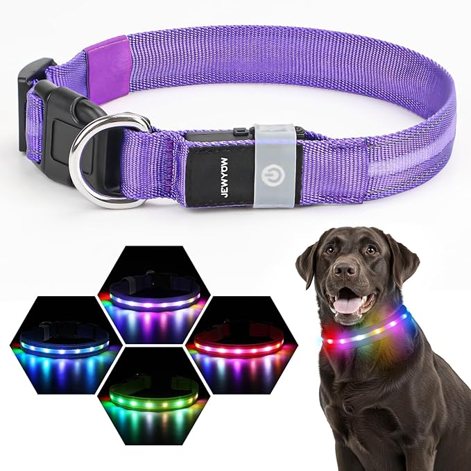 LED Dog Collar, Light Up Dog Collar, USB Rechargeable - Brightest Dog Lights for Night Walking, 6 Light Modes, Adjustable for Dog Safety(Large, Purple)