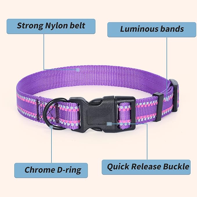 Mile High Life Reflective Dog Collar, Basic Dog Collars Adjustable Quick Release, Soft Nylon Pet Collar with Metal D-Ring for Small Medium Large Dogs (Purple, M Neck13-17")