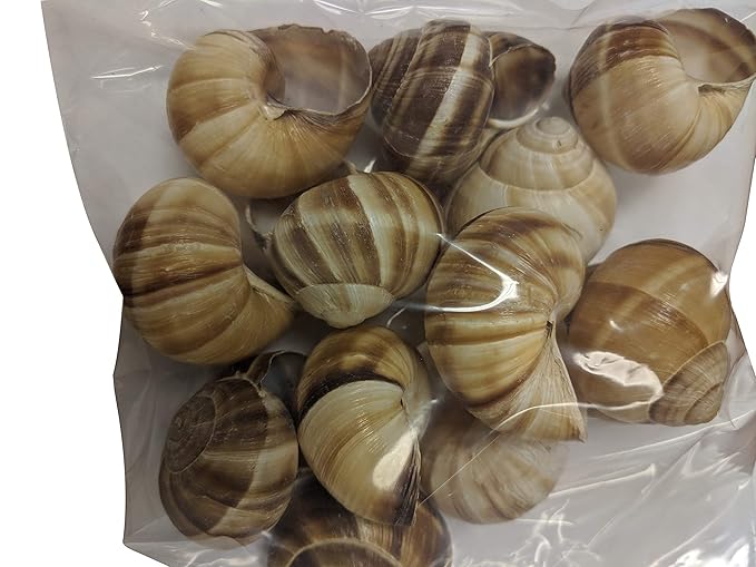 Premium Escargot Wild Burgundy Snails ??Rated Number One ??Best For Escargot Recipes, Various Sizes ??(1 Dozen Shells)