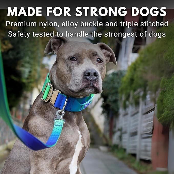 Spark Paws Tactical Dog Collar - Heavy Duty, Premium Quality, Thick and Durable for Large and Medium Dogs - Lime Wave - M - 1.5"