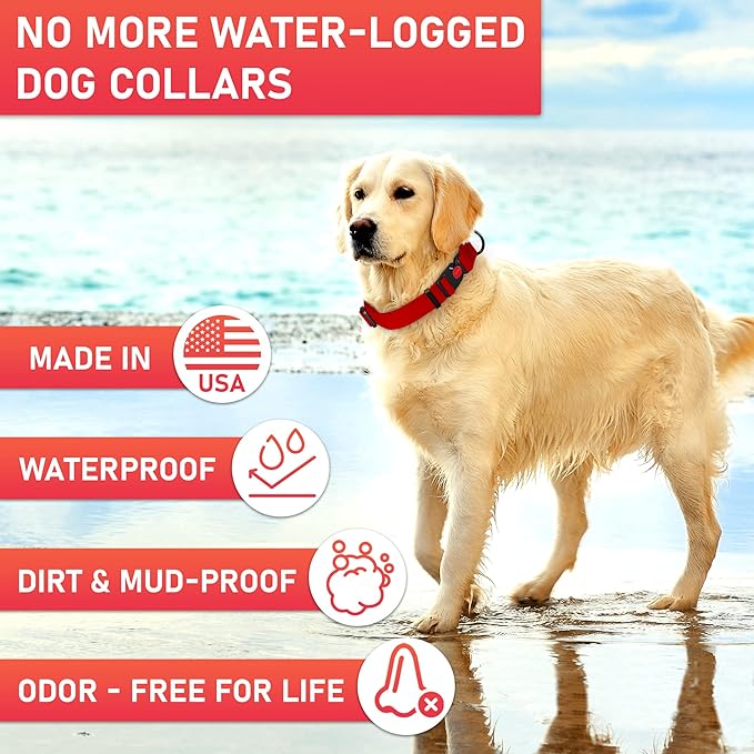 Adjustable Dog Collar with QR Code Dog Tag ID Attached - Made in USA - Honeycomb Waterproof Heavy Duty Dog Collar with Safe Lock Buckle - Odor Proof Pet Collar for Dogs with Strong Zinc D Ring