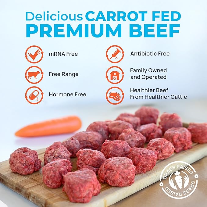 Santa Carota Grass Fed Ground Beef 80% Lean / 20% Fat, Carrot-Finished, Grass-Raised, Bulk Hamburger Meat | Perfect for Burgers, Family Pack Frozen Food (10-1lb packages)