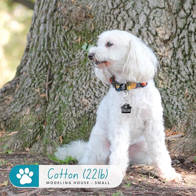 Ultra Joys Dog Tags Personalized for Pets - Hollow Paw Custom Pet ID Tag - Engraved Dog Tag for Small, Large Dogs - Small House in Silver