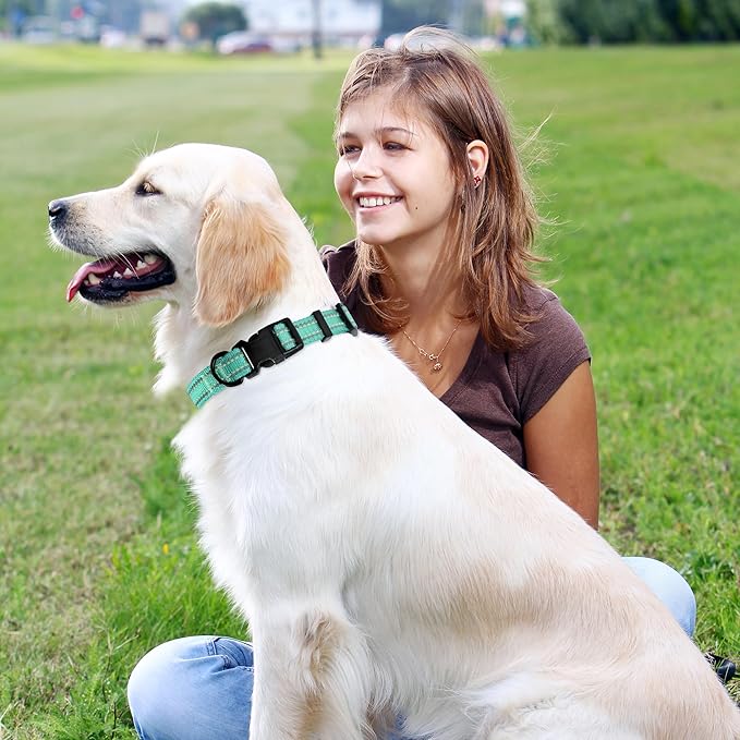 Mile High Life Reflective Dog Collar, Basic Dog Collars Adjustable Quick Release, Soft Nylon Pet Collar with Metal D-Ring for Small Medium Large Dogs (Green, L Neck15-19")