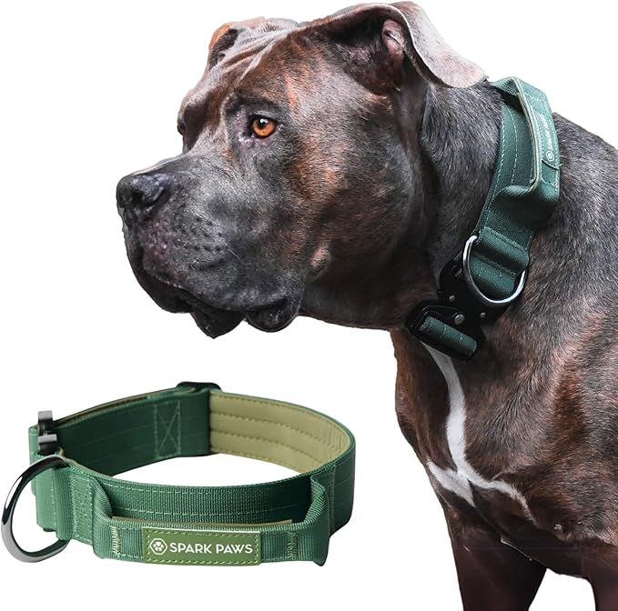 Spark Paws Tactical Dog Collar - Heavy Duty, Premium Quality, Thick and Durable for Large and Medium Dogs - Solid Green - M - 1.5"