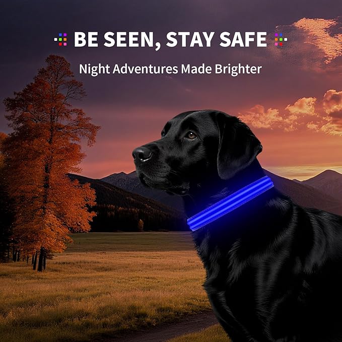 LED Dog Collar with Metal Buckle - USB Rechargeable Glow Collar for Dogs, Waterproof Light Up Dog Collar w/Reflective Strips - Adjustable Night Safety Collars by PetIsay(Blue,Large)