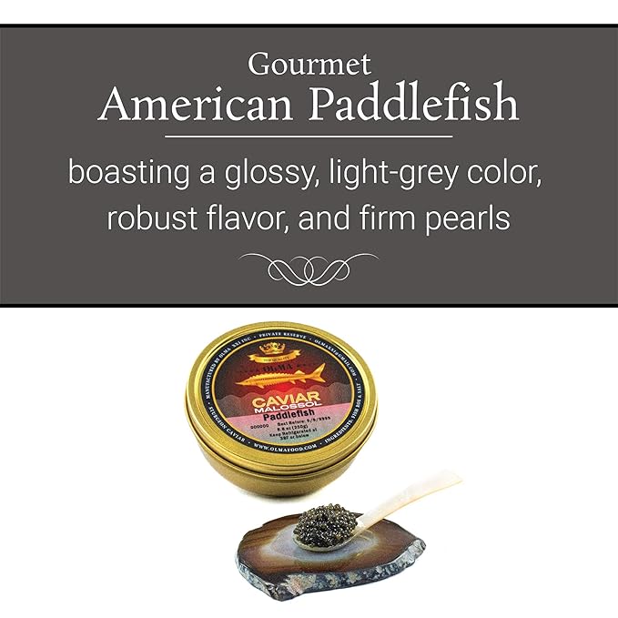 OVERNIGHT SHIPPING - OLMA American Paddlefish Black Caviar - Medium Grey Pearls, Smooth Flavor - 8.8 oz / 250 g