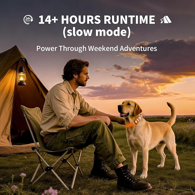 LED Dog Collar with Metal Buckle - USB Rechargeable Glow Collar for Dogs, Waterproof Light Up Dog Collar w/Reflective Strips - Adjustable Night Safety Collars by PetIsay(Orange,Large)