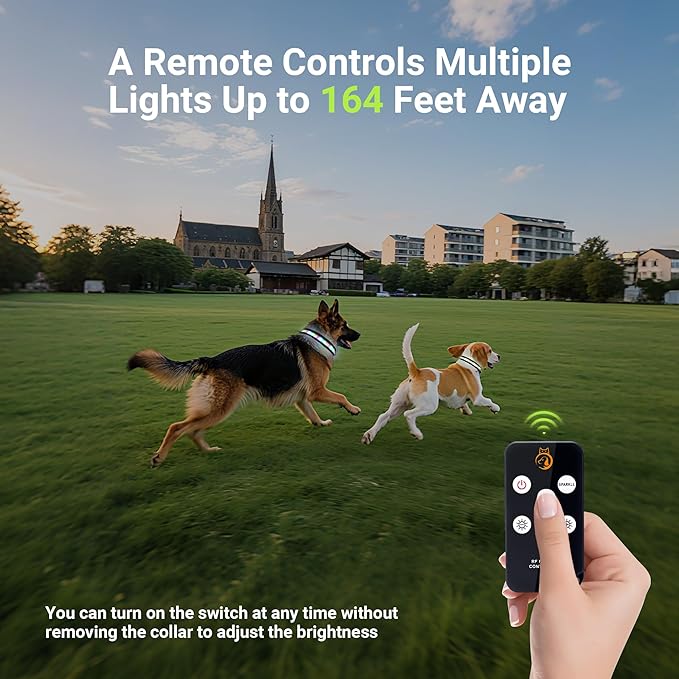 Light Up Dog Collar,Rechargeable Waterproof Led Dog Collar with Remote,Glow in Dark for Night Walking, Fits Small Medium Large Dogs-M