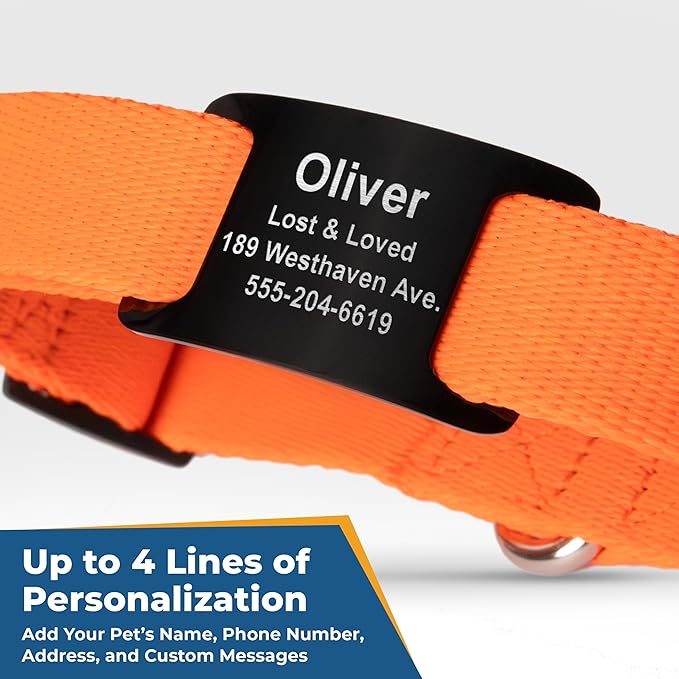 GoTags Personalized Dog Collar with Nameplate, Adjustable Dog Collar with Custom Engraved Slide On Pet ID Tag in Stainless Steel, Silent, No Noise Dog Tag (Light Blue, Large)