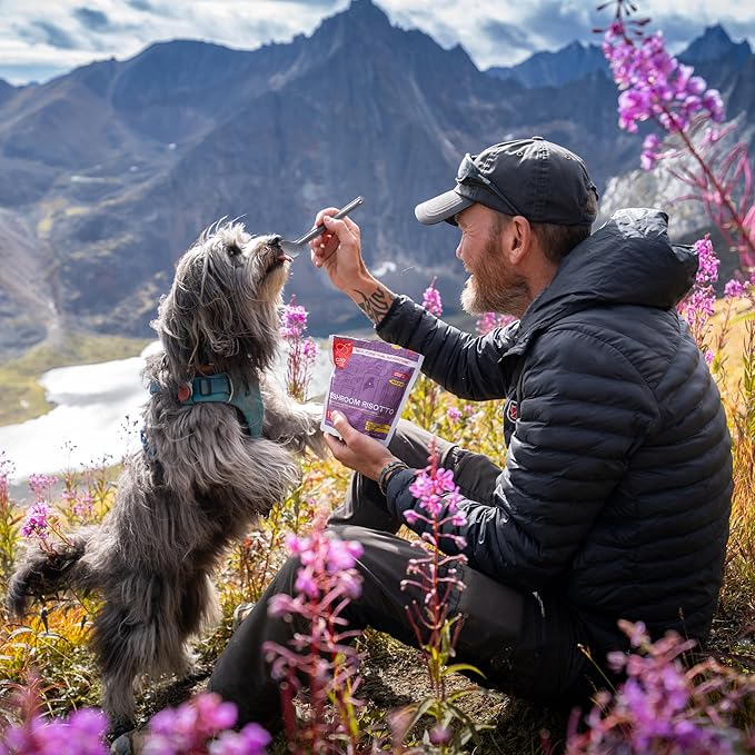 GOOD TO-GO Mushroom Risotto | Camping Food, Backpacking Food | Just Add Water Meals, Backpacking Meals | Dehydrated Meals Taste Better Than Freeze Dried Meals