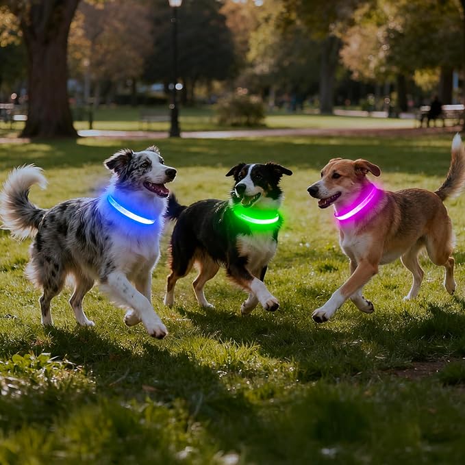 Vizpet LED Dog Collar, Light Up Dog Collar Adjustable USB Rechargeable Super Bright Safety Light Glowing Collars for Dogs(Medium,Green)