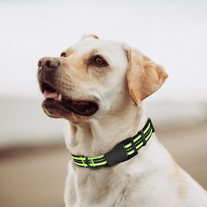Mile High Life Reflective Dog Collar | Nylon Pet Collars wiith Buckle | Light Weight Puppy Collars | Lime Green Dog Collars for Medium Dogs (Lime Green, M)
