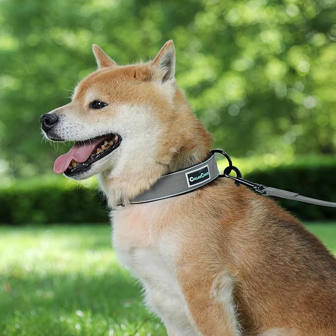 Dog Collar for Small Medium Large Dogs, Reflective, Adjustable Heavy Duty Dog Collar, Soft Neoprene Padded Comfortable for Walking (Grey, L)