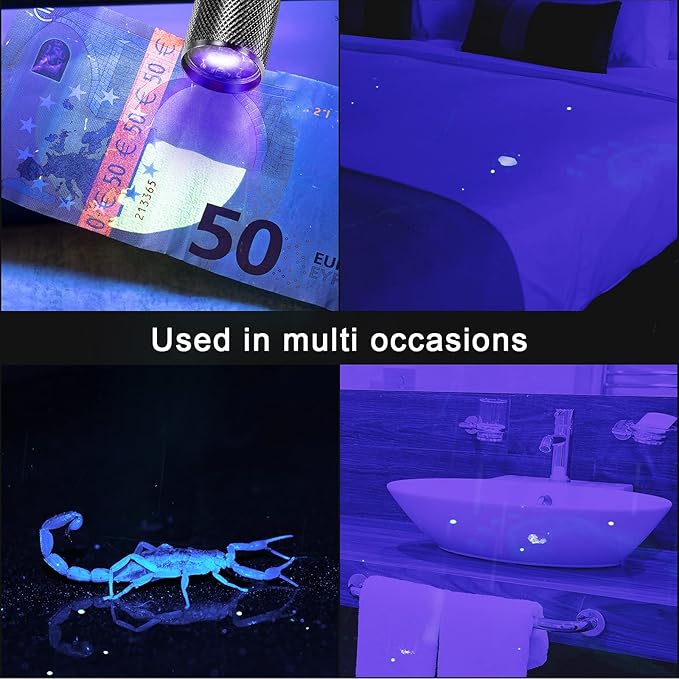 Roceei 10 Pieces UV Blacklight Flashlights, LED Light, Handheld, Mini Light Torch Detector, Portable UV Flashlight Torch for Pets Stains Urine (Purple Light)