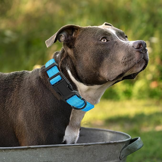 Mile High Life Dog Collar | Nylon Reflective Dog Collars | Light Weight Puppy Collars | Dark Blue Dog Collars for Medium Dogs (Dark Blue, Medium)