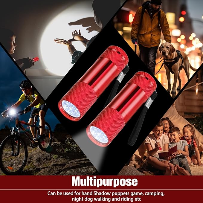 VIHOSE 12 Pcs Mini Flashlights Bulk, Bright Aluminum Handheld Flash Lights with Lanyard, Small LED Flashlights for Kids Night Reading Emergency Hurricane Camping Hiking Party Favors(Red)